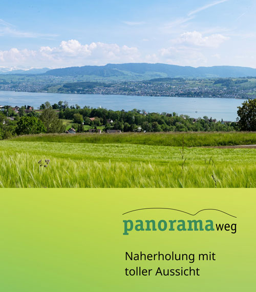 pic_ZPP-Flyer-Panoramaweg-web