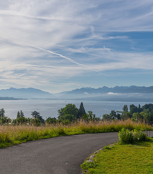 pic_Zürichseeweg